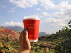 -Manner Coffee(大宁国际商业广场店)
