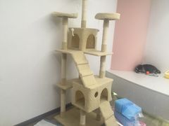 -浣熊柯尔鸭土拨鼠·电玩咖