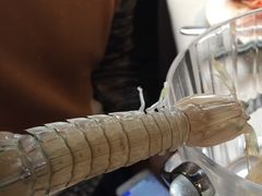 -星伦多 自助料理(圆融店)