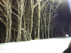 -二世古滑雪场
