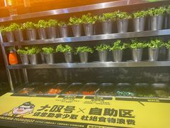 -大叹号·朝鲜族烤肉(潍坊泰华城店)