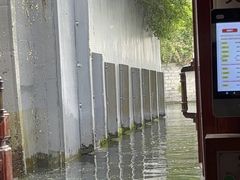 -鲁南仔·滕州炒鸡(经三路店)