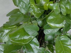 -云川台球(马甸店)