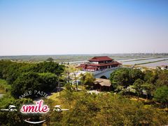 -大湾区中央湿地公园