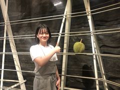 -都念榴莲·城市榴莲