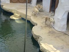 -秦皇岛乐岛海洋王国