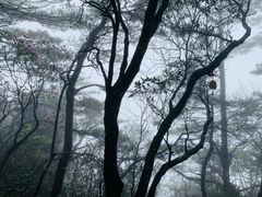 -萍乡武功山风景名胜区