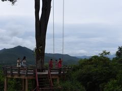 -大树秋千