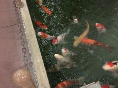 景观位-太子园林酒家