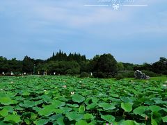 -宜兴龙背山森林公园