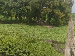 -维乐口腔医院(福清院)