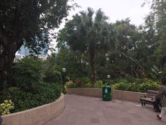 -九龙公园