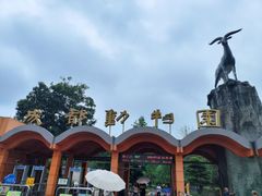 -成都动物园