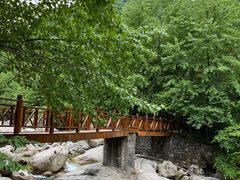 -青峰峡国家森林公园