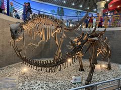 -国家自然博物馆