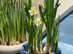 -FULL MOON满月咖啡