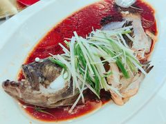 古法清蒸龙趸斑-万龙洲海鲜(大兴绿地缤纷城店)