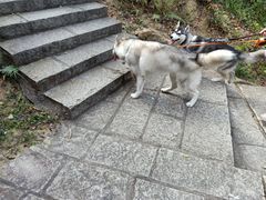 -火炉山森林公园