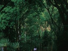 -深圳国际园林花卉博览园