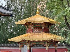 -护国法轮寺