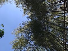 -崂山九水游览区