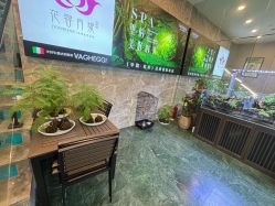 -阅年轻·AI家庭健康体质调理