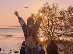 -宝安西湾红树林湿地公园