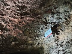 -周口店北京人遗址公园