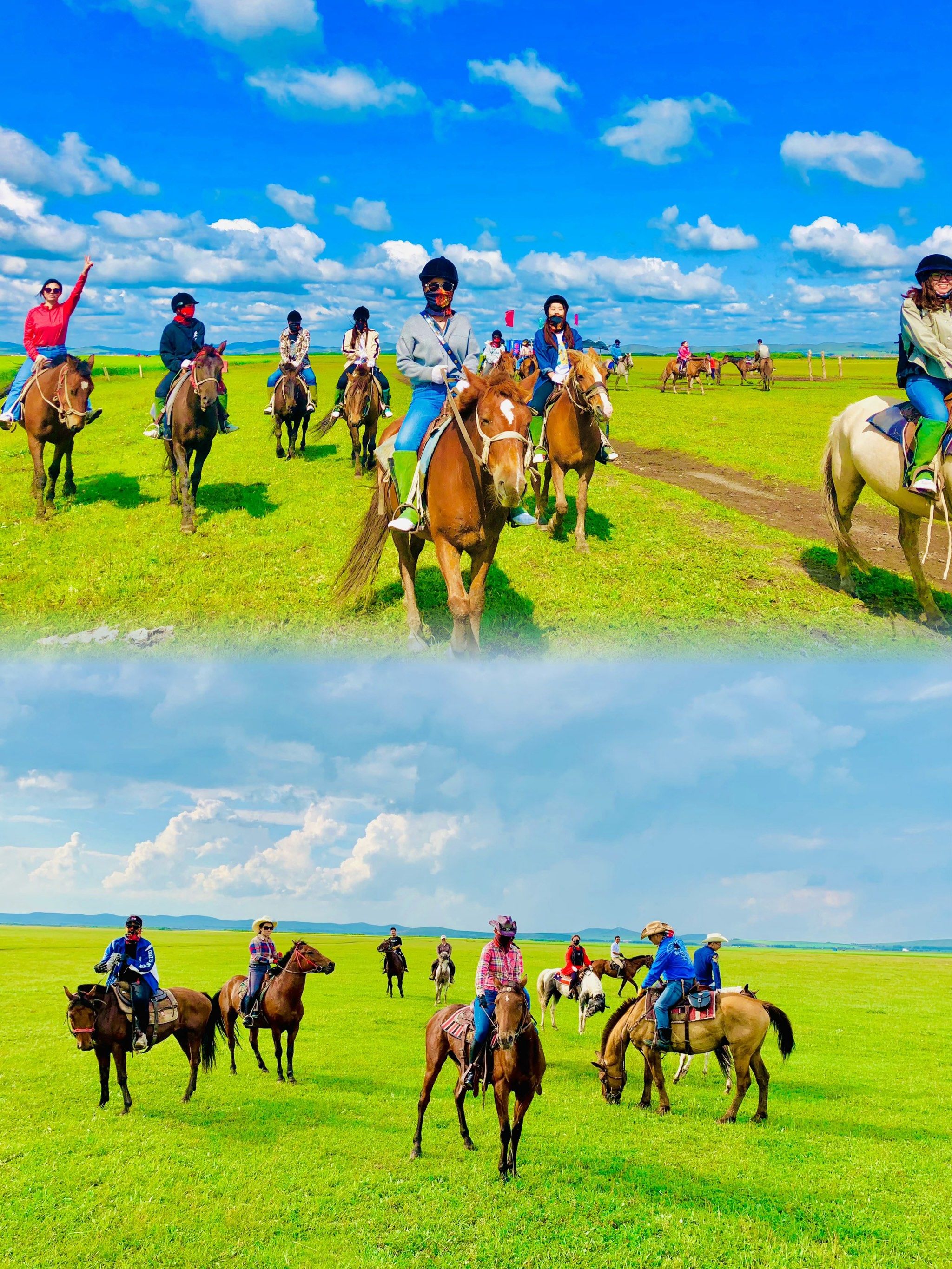 ☁️金秋坝上草原骑马撒欢儿,驰骋在金色的草原上,感受那种无拘无