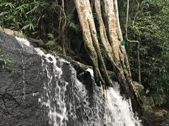 -呀诺达热带雨林