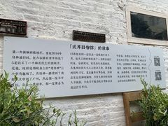 -小洲村