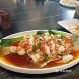 这一面墙的东莞话，大家看懂几个？[闭嘴]