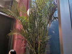 -Toris(LuOne凯德晶萃广场店)