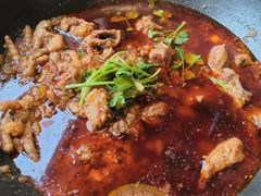 -绝城芋儿鸡(犀浦旗舰店)