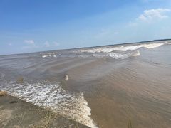 -观潮胜地公园