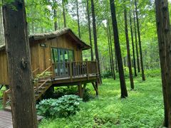 -黄海国家森林公园