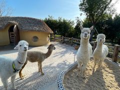 -珠海海泉湾神秘岛亲子乐园