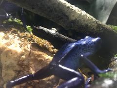 -暹罗海洋世界