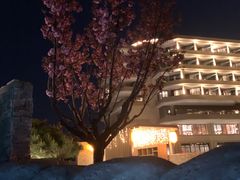 -北京乐多港万豪酒店汤乐宫温泉