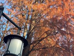 -福州中庚聚龍酒店香汇自助餐厅(南江滨西大道店)