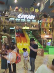 -卡通尼·Safari非洲探索乐园·生日会(金桥国际商业广场店)