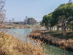 -贡湖湾湿地公园