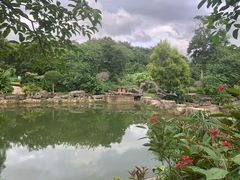 -广西壮族自治区药用植物园