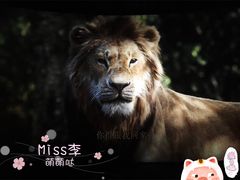 -万达影城(IMAX激光铁西万达广场店)