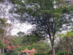 -白云山风景名胜区