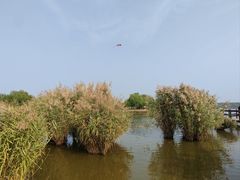 -西青郊野公园