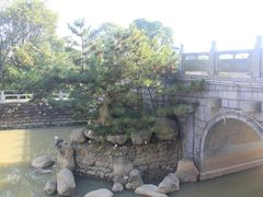 -九龙湖公园