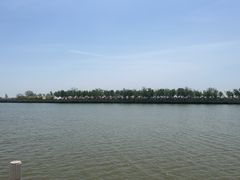 -南大港湿地风景区