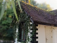 -上海共青森林公园