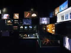 -同济大学四平路校区深海探索馆